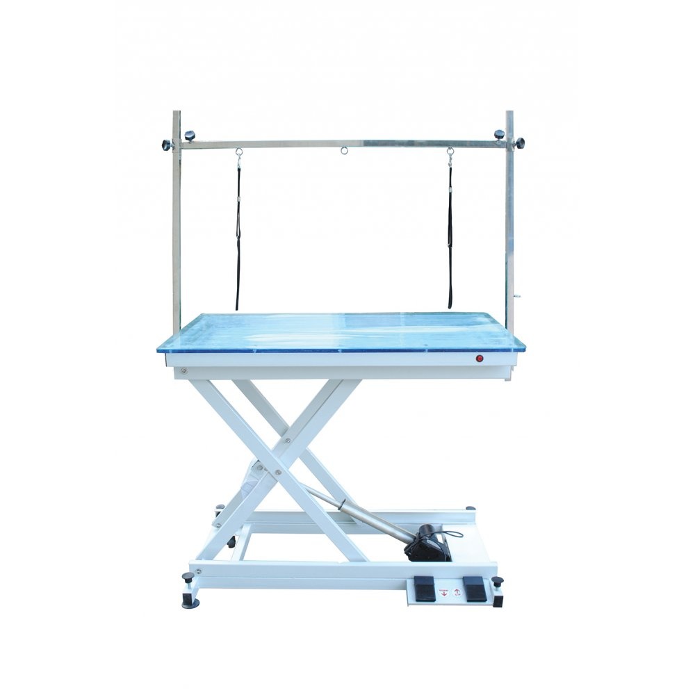 Are there any accessories available for an electric light pet grooming table?